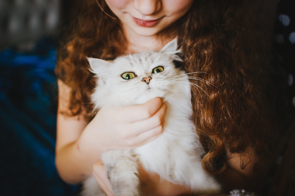 Macskaharapást szőrivel – avagy vegyük-e komolyan?